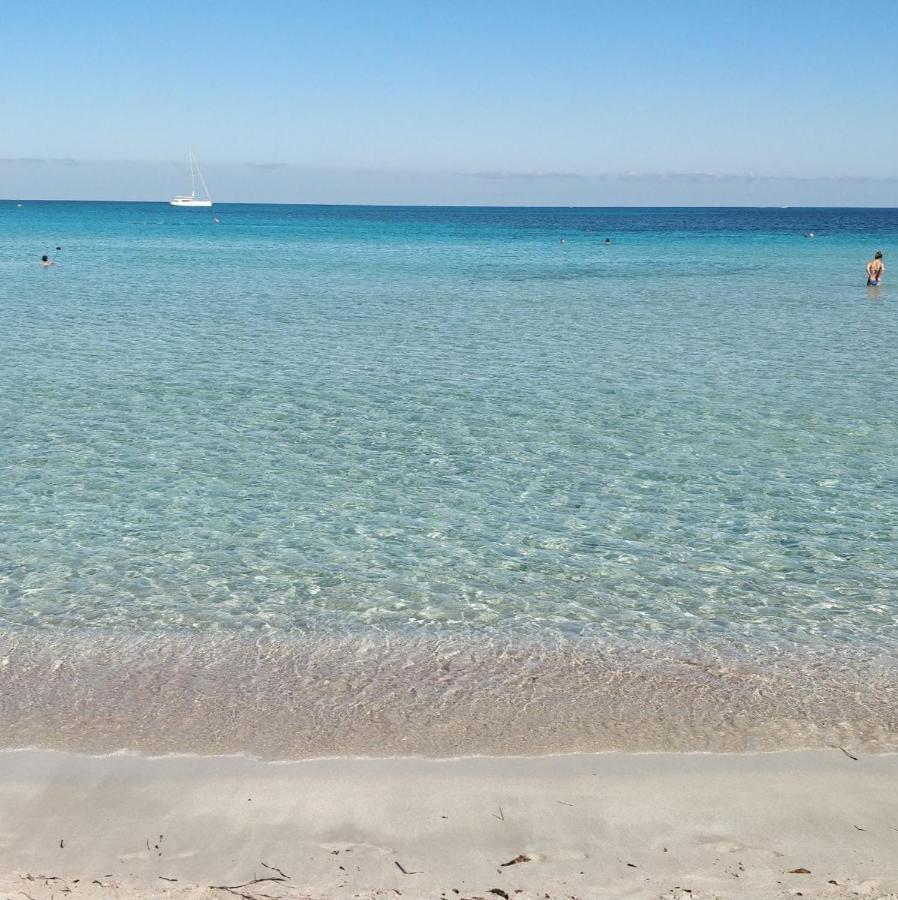 Maria Studios Skiathos Dış mekan fotoğraf