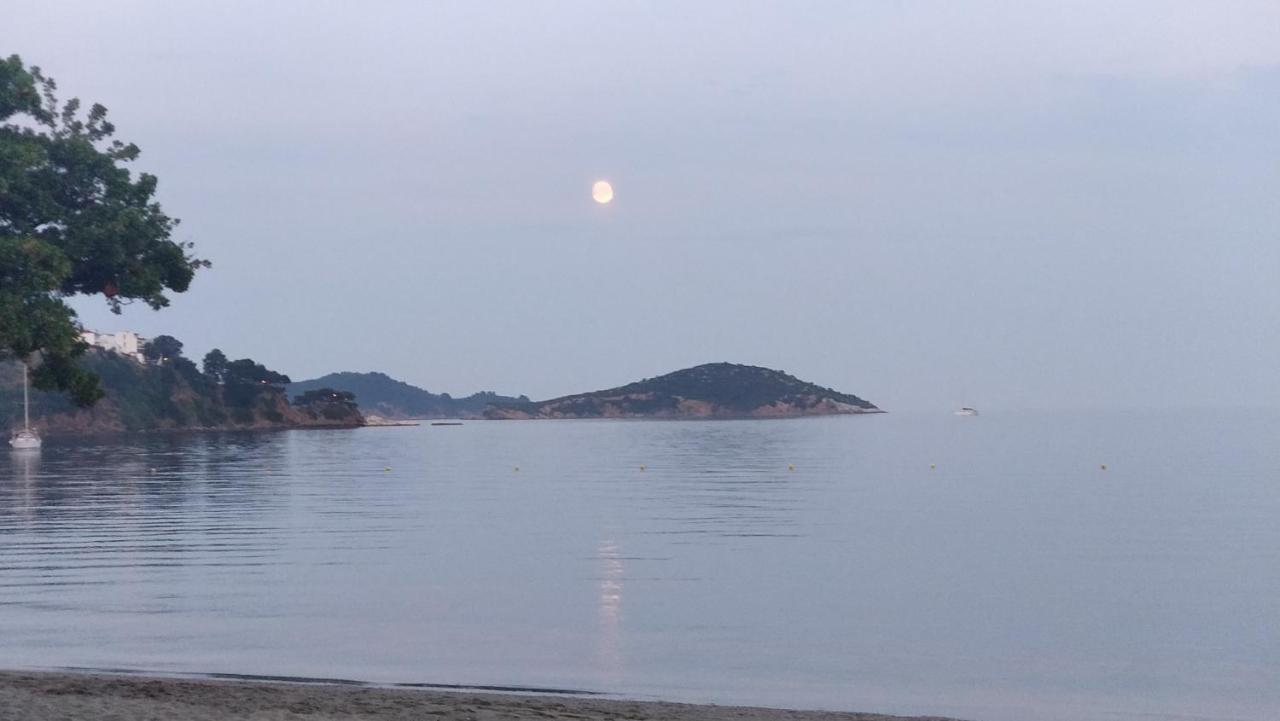 Maria Studios Skiathos Dış mekan fotoğraf