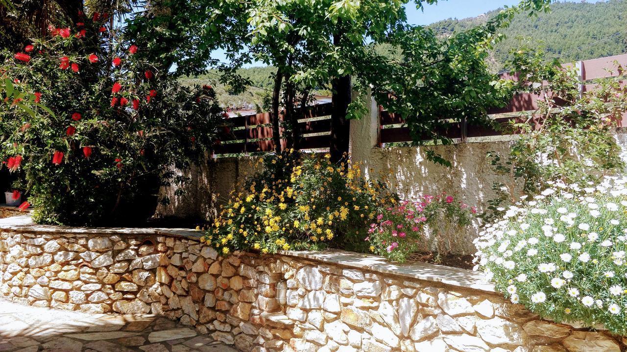Maria Studios Skiathos Dış mekan fotoğraf